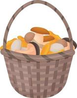 A bright autumn illustration with the image of edible mushrooms collected in a basket. The harvested crop of mushrooms. A basket of mushrooms.Vector illustration isolated on a white background vector