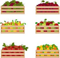A bright autumn set consisting of wooden boxes with ripe juicy fruits, such as grapes, cherries,pears and apples, strawberries, oranges . Vector illustration isolated on white background.