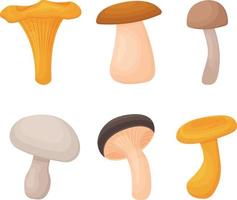 A summer set consisting of various edible mushrooms. Forest mushrooms. Vector illustration isolated on a white background