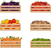 A bright summer set consisting of wooden boxes with ripe vegetables, such as eggplants, tomatoes, bell peppers, as well as potatoes, carrots and cucumbers. Vector illustration isolated.