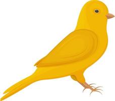 A bright yellow canary bird. Songbird vector illustration isolated on white background.