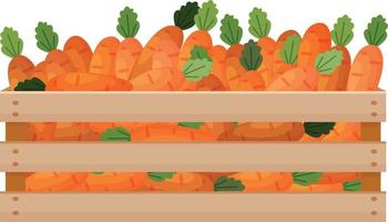 A bright autumn illustration with the image of a wooden box with carrots. The harvested crop of fresh carrots in a wooden box. Vegetables are in the drawer. Vector illustration on a white background