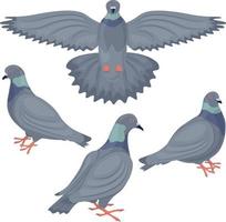 A set with the image of pigeons. Pigeons depicted from different angles. Collection of urban birds. Vector illustration on a white background