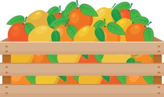 A bright summer illustration depicting a wooden box with ripe oranges. The harvested crop of juicy citrus oranges in a wooden box. Vector illustration isolated on a white background