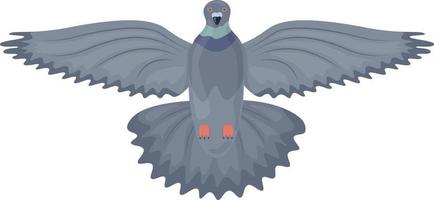 paloma. imagen de una vista inferior de una paloma voladora. pájaro de la ciudad. la paloma batió sus alas. ilustración vectorial aislada en un fondo blanco vector