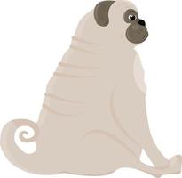 Cute body positive pug sits and looks into the distance. Vector illustration isolated on white background.