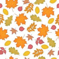 A bright autumn seamless pattern consisting of yellowed leaves such as maple,oak,birch, poplar, rowan, alder, liquidambara leaves. Pattern of autumn leaves for the print. Vector illustration