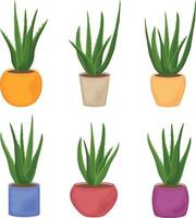 Aloe. A collection of images of the green aloe vera plant in pots of various shapes and colors. Medicinal plant as a skin care product. Vector illustration isolated on a white background