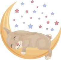 Bright Cute children s illustration with the image of a cute bunny sleeping on the moon surrounded by colored stars. Children s print illustration. A hare on a crescent moon.Vector. vector