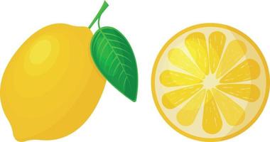 Bright ripe lemon Juicy yellow lemon in whole and cut form. Ripe sour fruit, vector illustration isolated on white background.