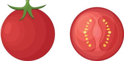 Bright ripe tomato. Juicy red tomato in whole and cut form. Ripe vegetable, vector illustration isolated on white background.