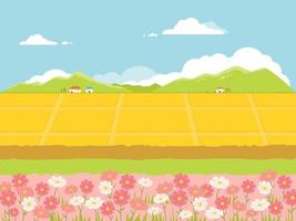 Yellow rice fields are spread out and cosmos are blooming along the roadside. A village is visible in the distance, and there are clouds in the blue sky. vector