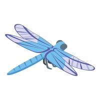 Cute dragonfly icon isometric vector. Insect wing vector