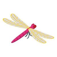 Art dragonfly icon isometric vector. Wing insect vector