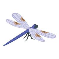 Macro dragonfly icon isometric vector. Wing insect vector