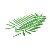 Coconut leaf icon isometric vector. Cosmetic oil vector