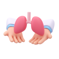 specialist doctor Take care of the organs in the body. 3D medical illustration. png