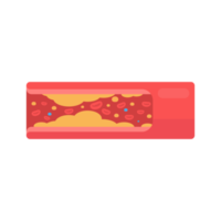 coronary arteries with accumulated fat in the body png