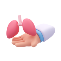 Facharzt kümmert sich um die Organe im Körper. 3D medizinische Illustration. png