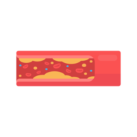 coronary arteries with accumulated fat in the body png