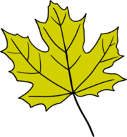 simplicity maple freehand drawing flat design. png