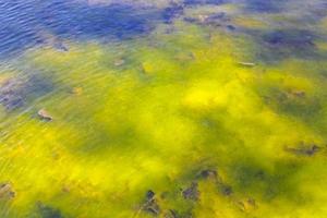 Blue and light green pond water in Germany. photo