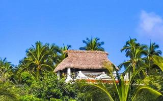 Hotels resorts buildings in paradise among palm trees Puerto Escondido. photo