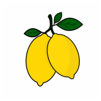 Lemons branch with fruits and leaf. Fruits illustration png