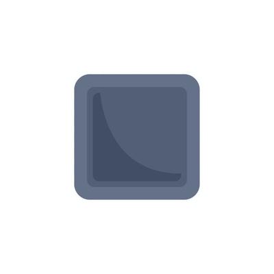 Nano processor icon flat isolated vector
