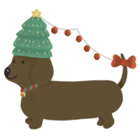 ilustración de perro salchicha png