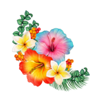 flores tropicais em aquarela png