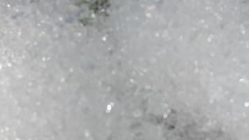 Nahaufnahme des Schnees schmilzt im Zeitraffer und eine weiße Muscari-Blütenknospe erscheint video