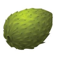 Tropical soursop icon cartoon vector. Graviola juice vector