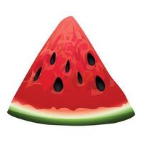 Eco watermelon icon cartoon vector. Summer fruit vector