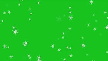 Green Screen Snow Fall Stock Video Footage for Free Download