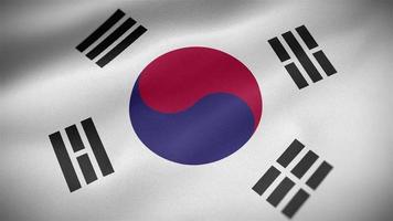 South Korea waving flag video