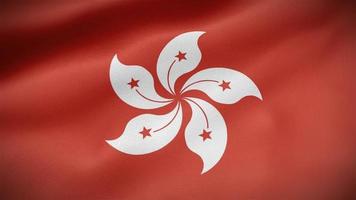 hong Kong golvend vlag video