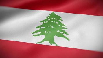 Lebanon waving flag video