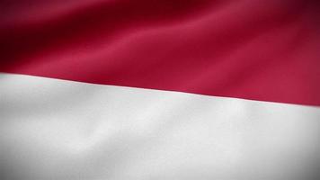 wehende flagge indonesiens video