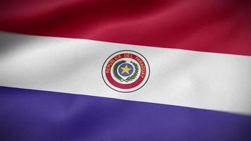 Paraguay waving flag video