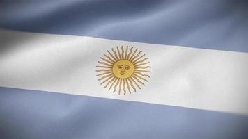 Argentina waving flag video