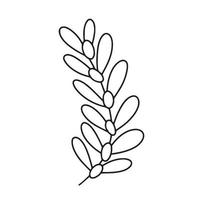 vector dibujado a mano rama de olivo aislado