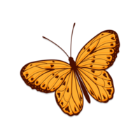 mariposa aislada sobre fondo transparente png