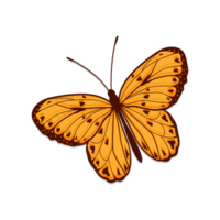 borboleta isolada em fundo transparente png