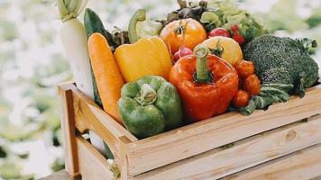 mulher agricultor chapéu de palha segurando cesta vegetal cebola tomate salada pepino em pé terras agrícolas sorrindo feminino agrônomo especialista agricultura agronegócio menina feliz vestido avental campo de trigo cultivado video