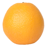 Freshly picked orange isolated png