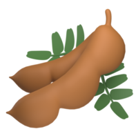 tamarind 3d icon png