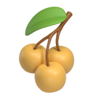 longan 3d icon png