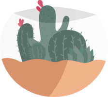 plante de cactus dans un pot de style minimaliste. png