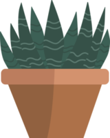 Green plants in pots. png